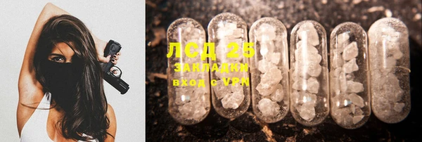 шишки Вязьма