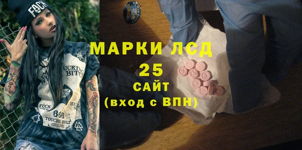 шишки Вязьма