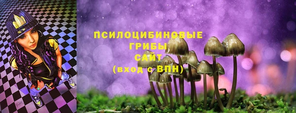 шишки Вязьма